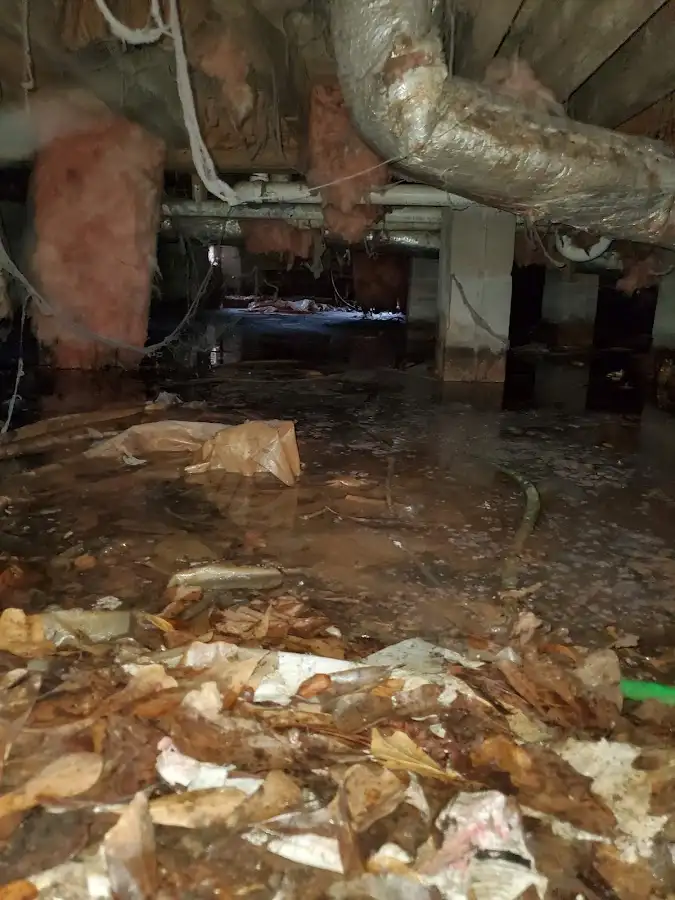 Crawl space flood assessment for Leak Detection & Repair in Decorah