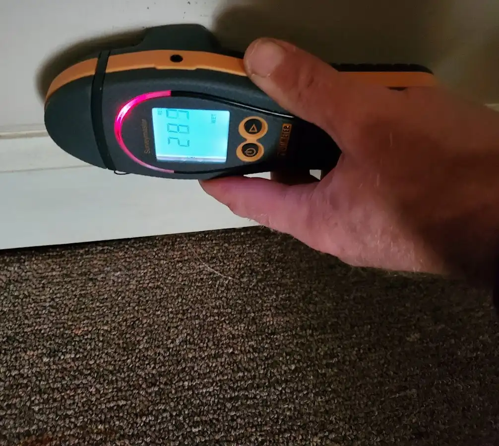 Moisture detection at baseboard during Mold Inspection & Testing in Decorah