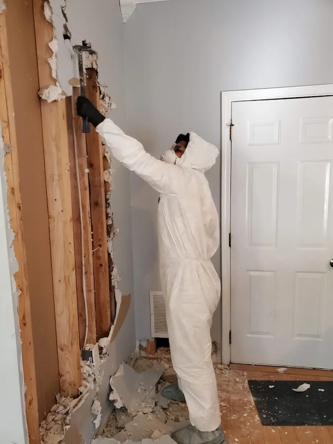 Mold Inspection & Testing in Decorah, IA